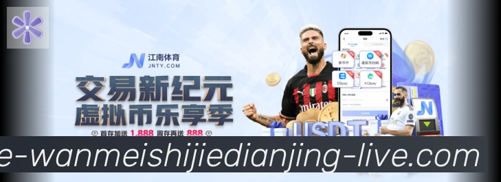 未来规划